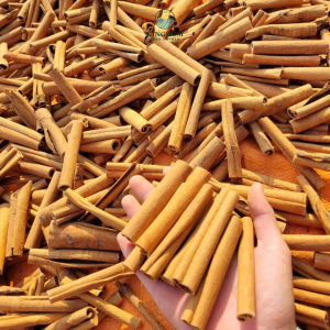 Cigarette Cassia