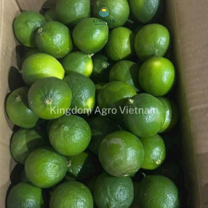 Green Seedless Lime