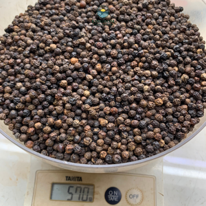 Black Pepper Cleaned 550G/L – 570G/L